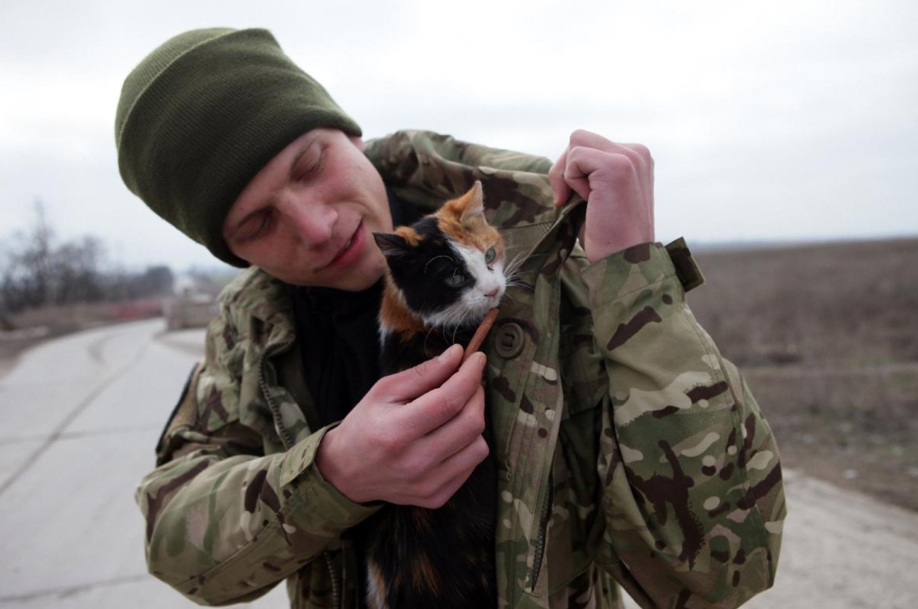 ukraine-soldats-chats-chiens-2