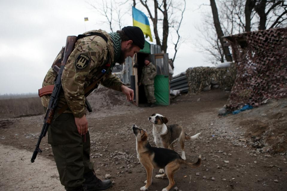 ukraine-soldats-chats-chiens-5