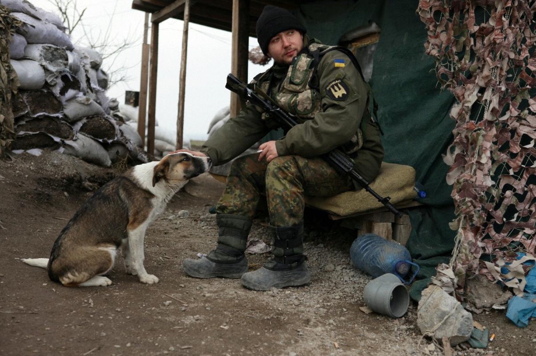 ukraine-soldats-chats-chiens-3