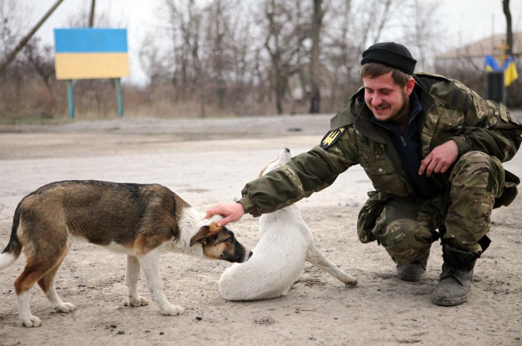 ukraine-soldats-chats-chiens-1