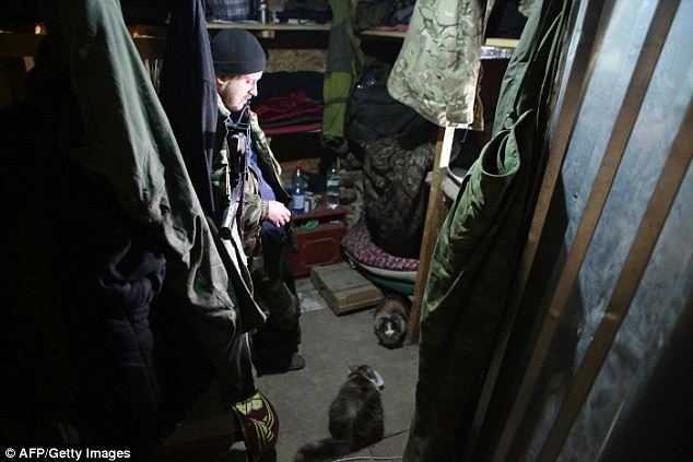 ukraine-soldats-chats-chiens-8
