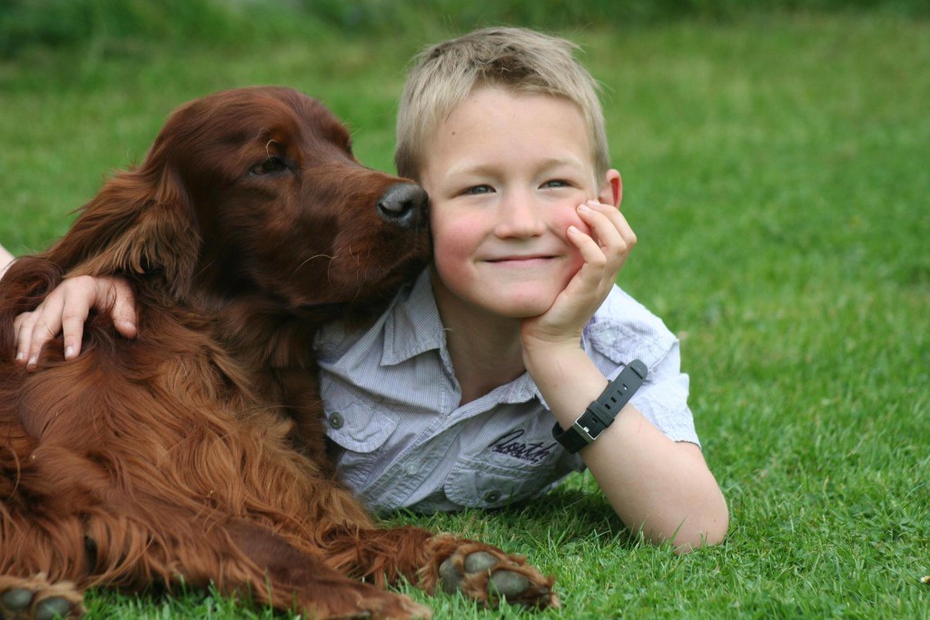 Jagger-dog-poisoned-Crufts-8