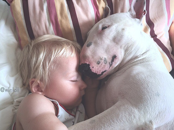 Screen Shot 2015-09-03 at 10.15.02