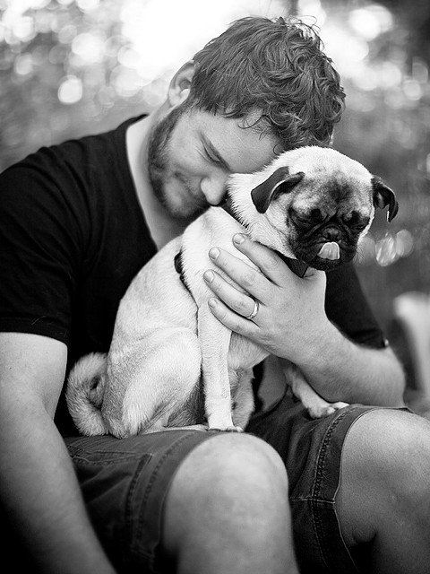 chien-humain-calins-bouledogue-1