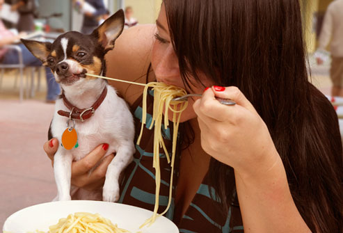 chien-mange-pasta-1