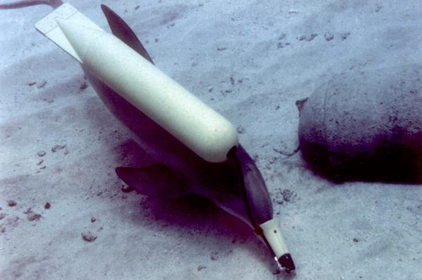 dauphin-combat-russie-militaire-3