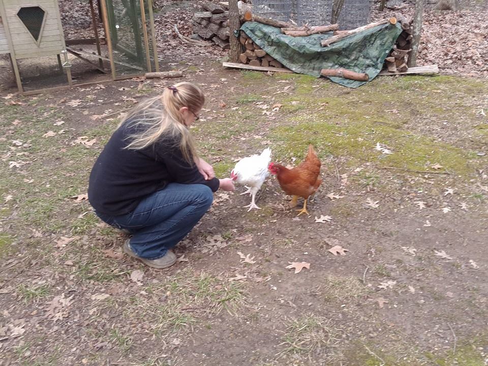 poules-babs-sauvetage-2