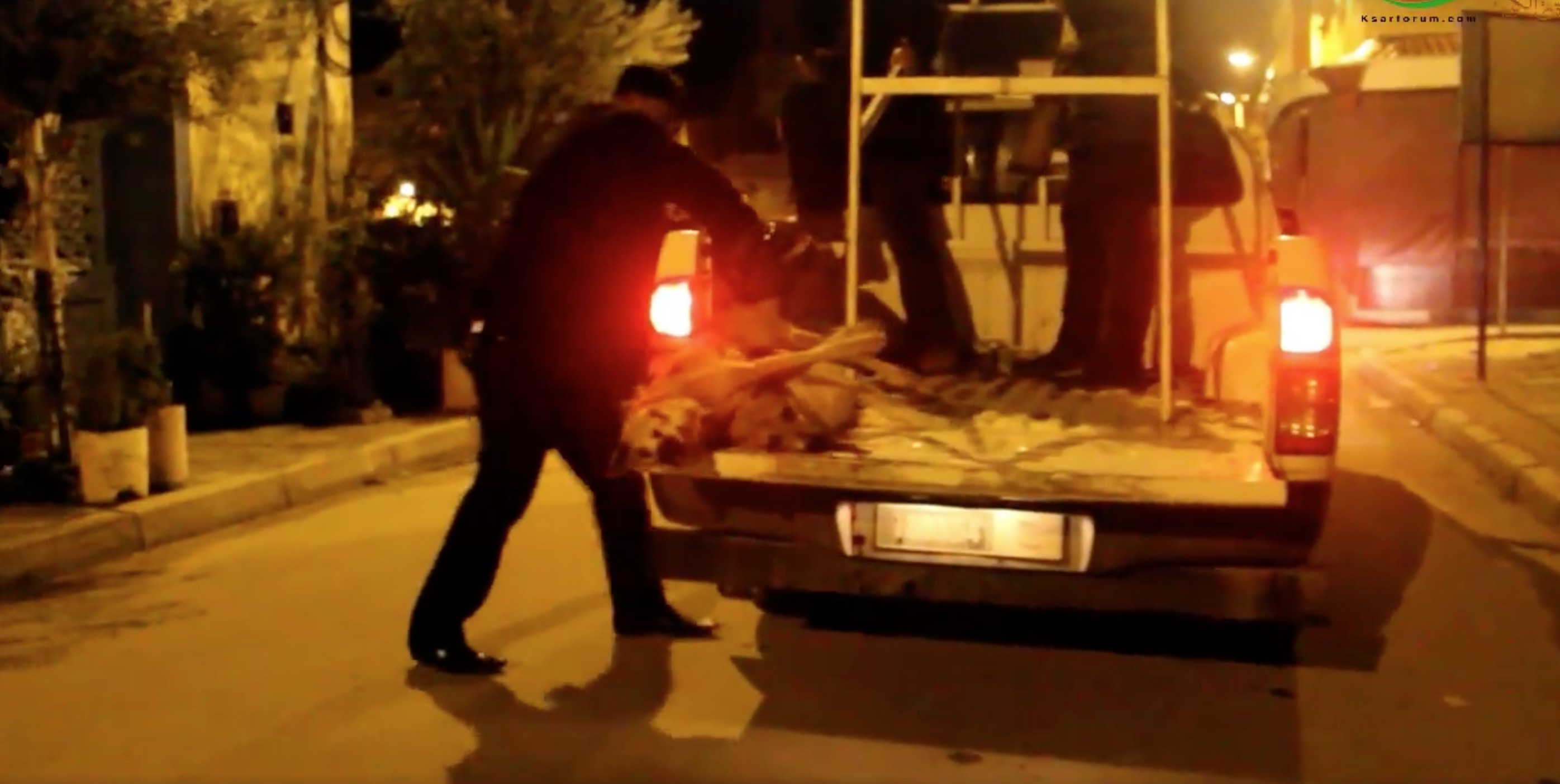 Ksar El Kbir-chiens-massacre-7