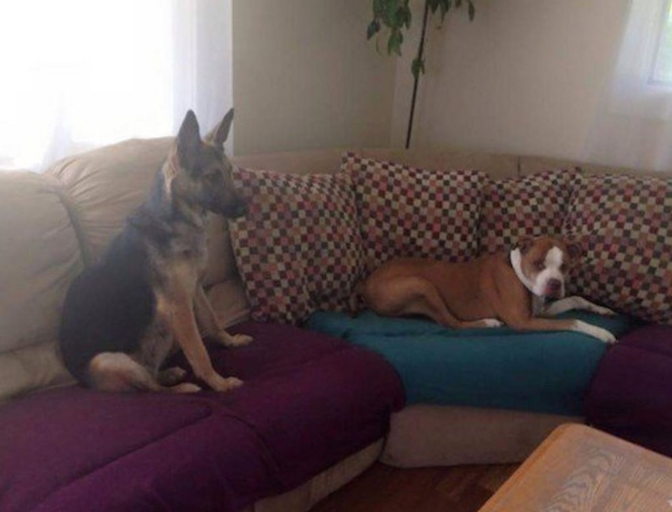 bella-balcon-sauvetage-2