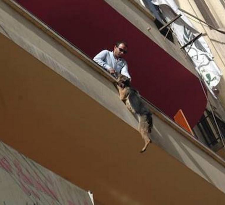 bella-balcon-sauvetage-5