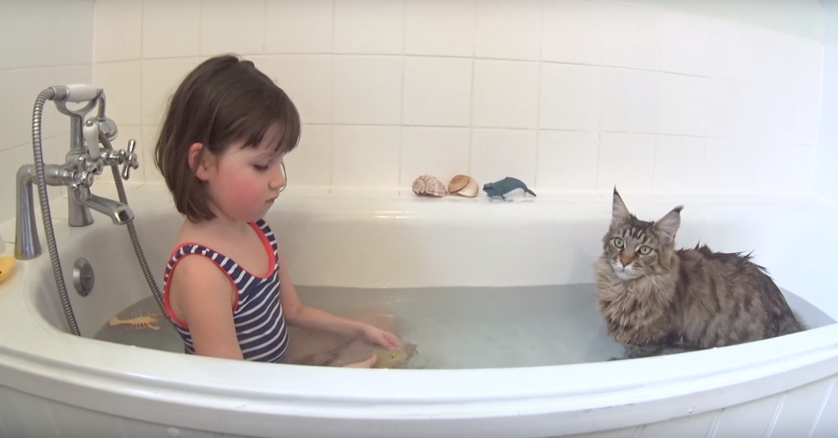 fille-autiste-chat-thula-6