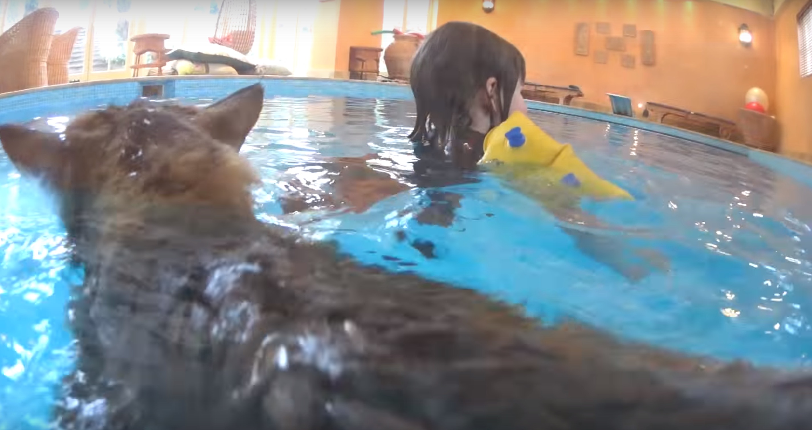 fille-autiste-chat-thula-3