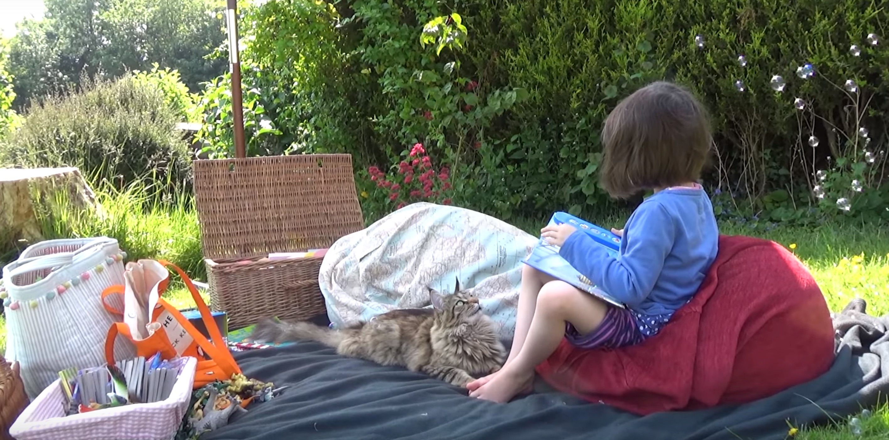 fille-autiste-chat-thula-12