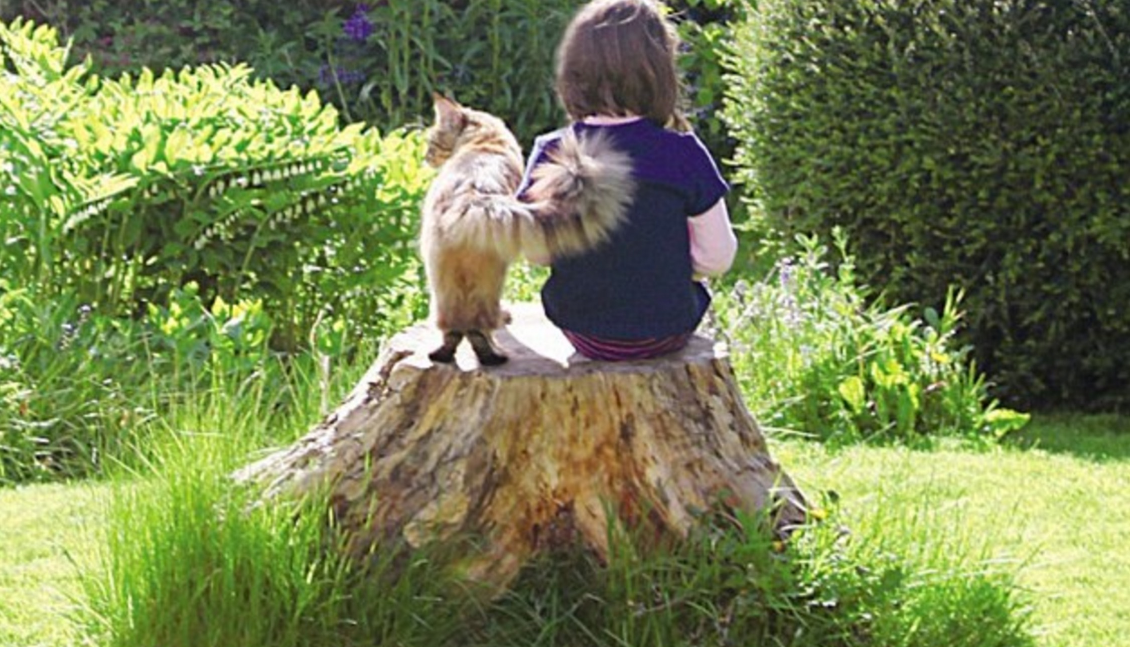 fille-autiste-chat-thula-15