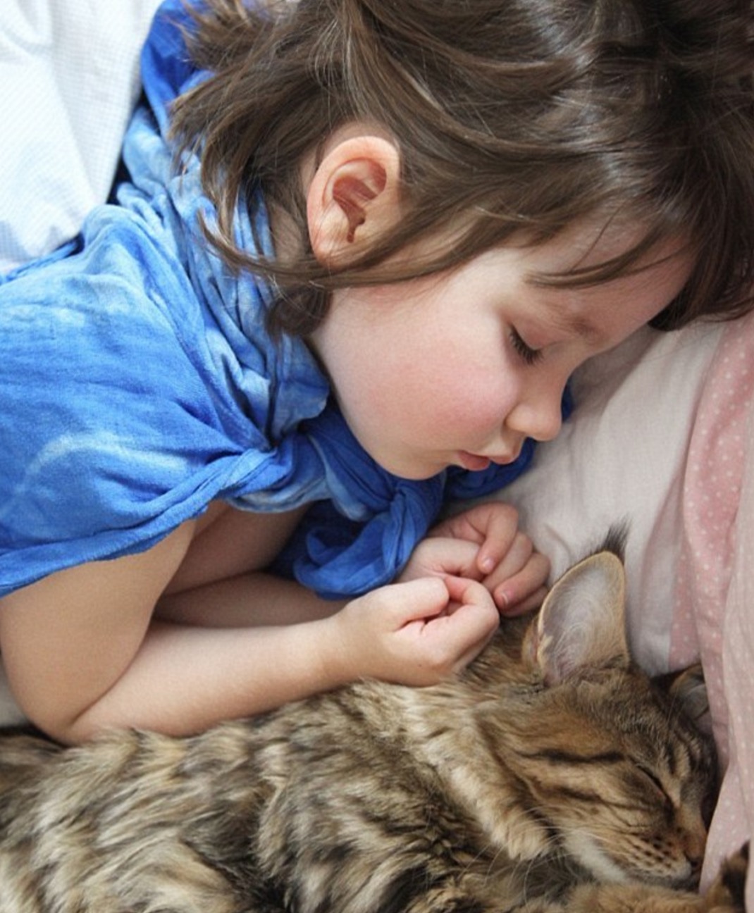 fille-autiste-chat-thula-11