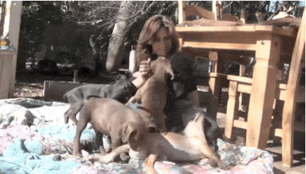 puppies-rosie-gif