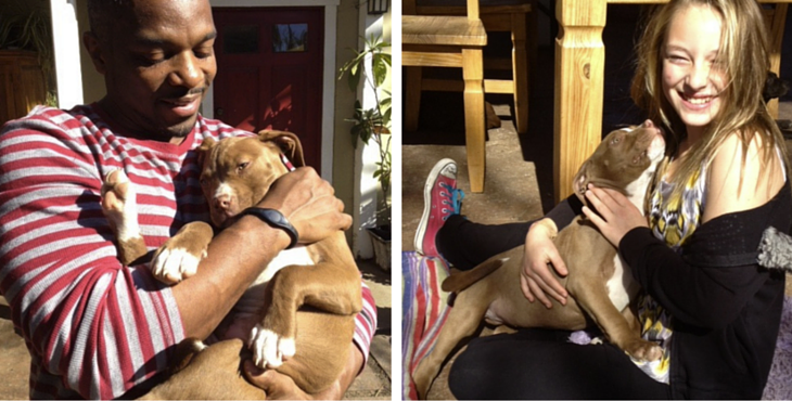 rosie-puppies-adopted