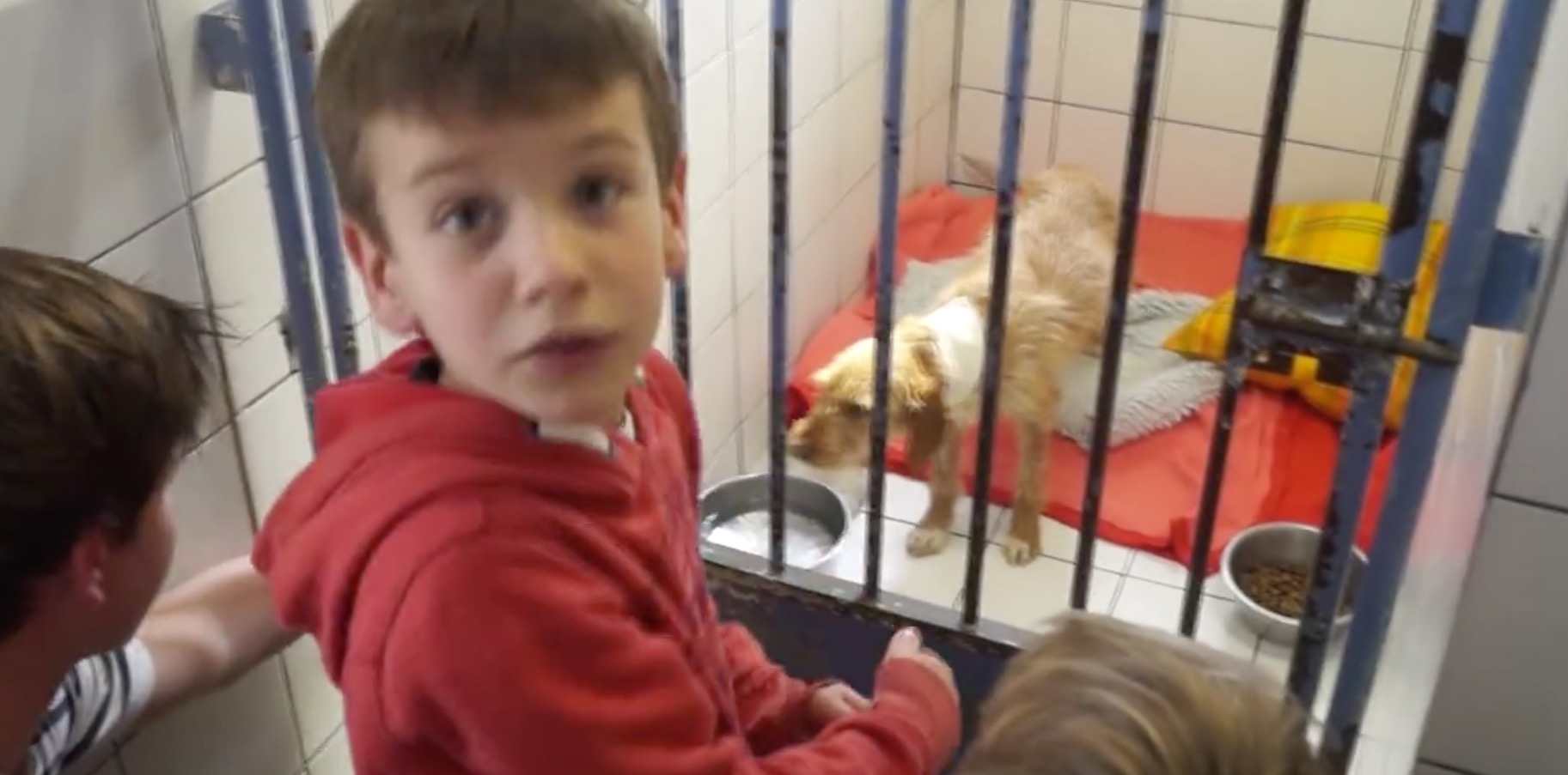 sauvtage-lorgues-chien-poubelle