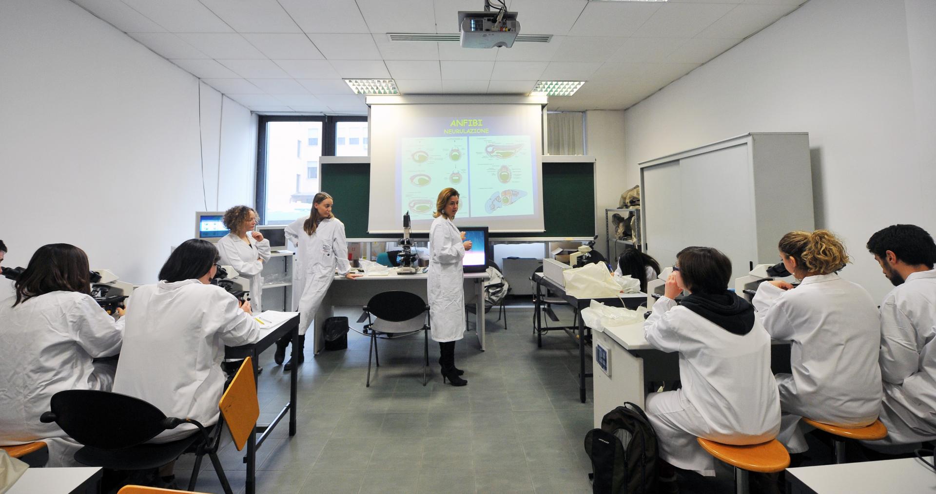 dissection-animaux-classe-5