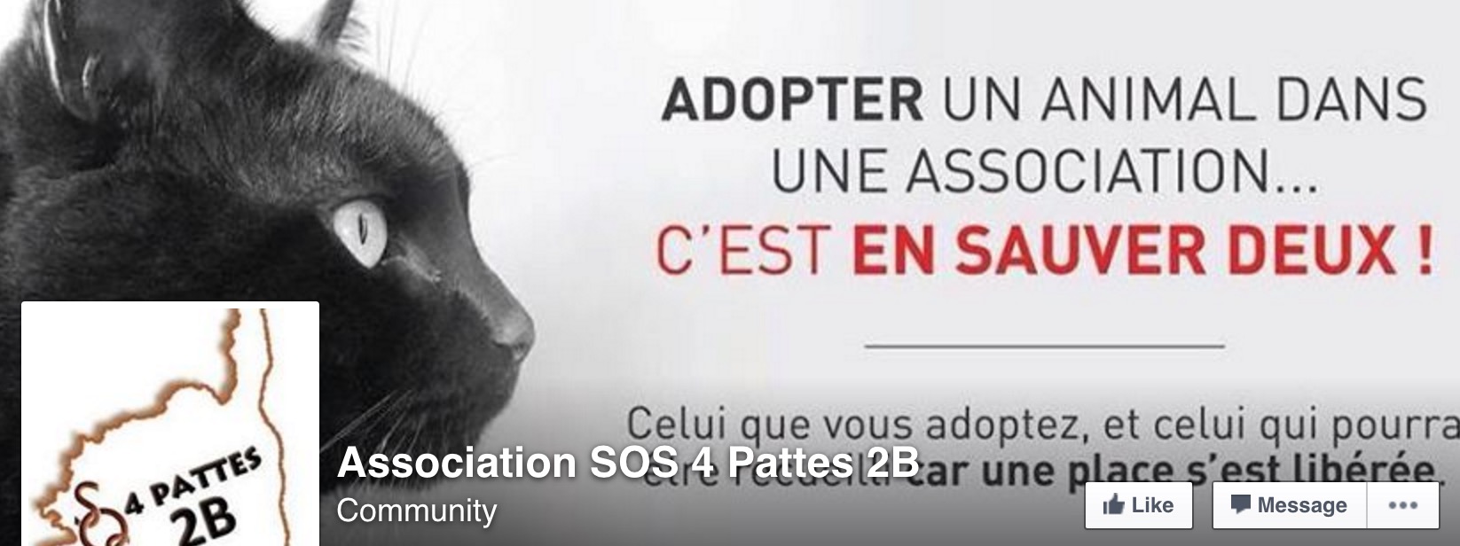 chiot-lupino-enterre-vivant-corse-25