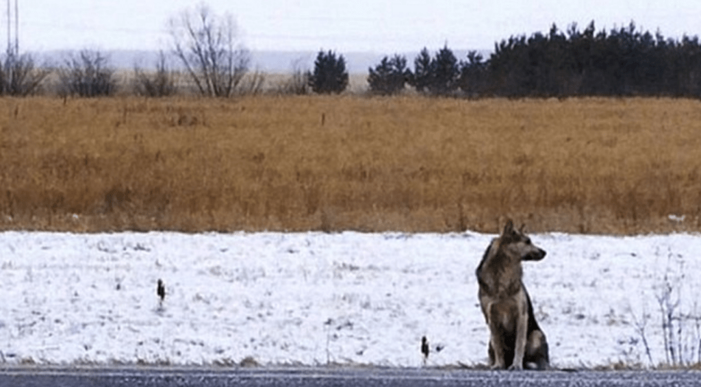 Screen Shot 2016-04-19 at 16.27.13