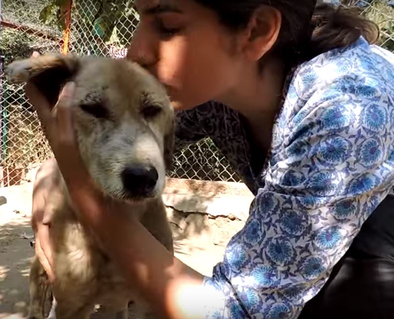 dog-india-rescue-11