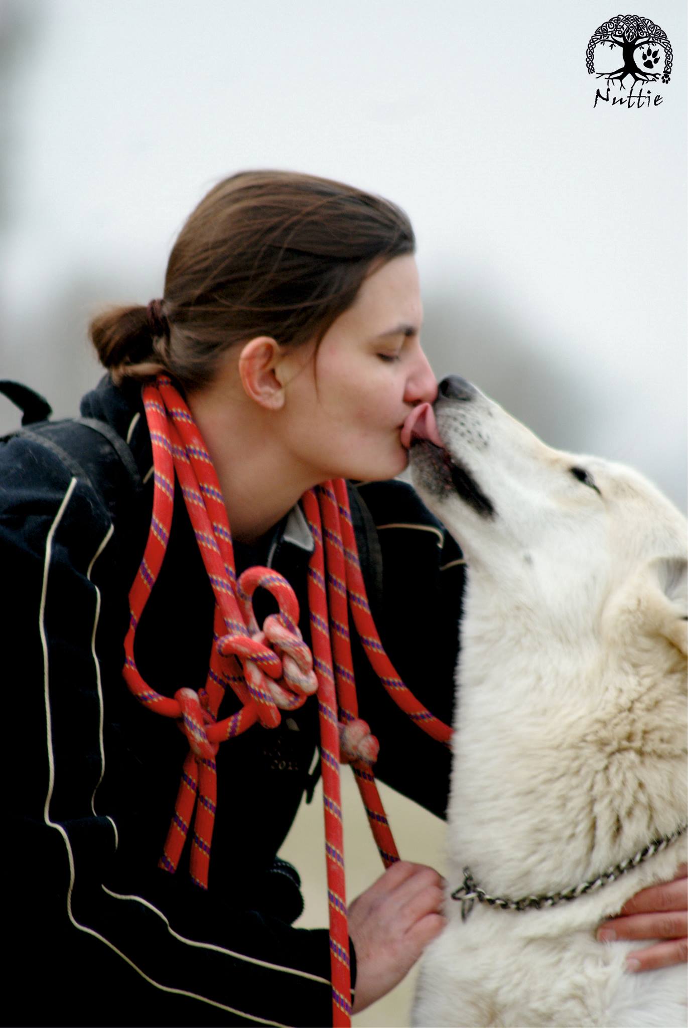 Moment d'affection entre un chien-loup et sa propriétaire