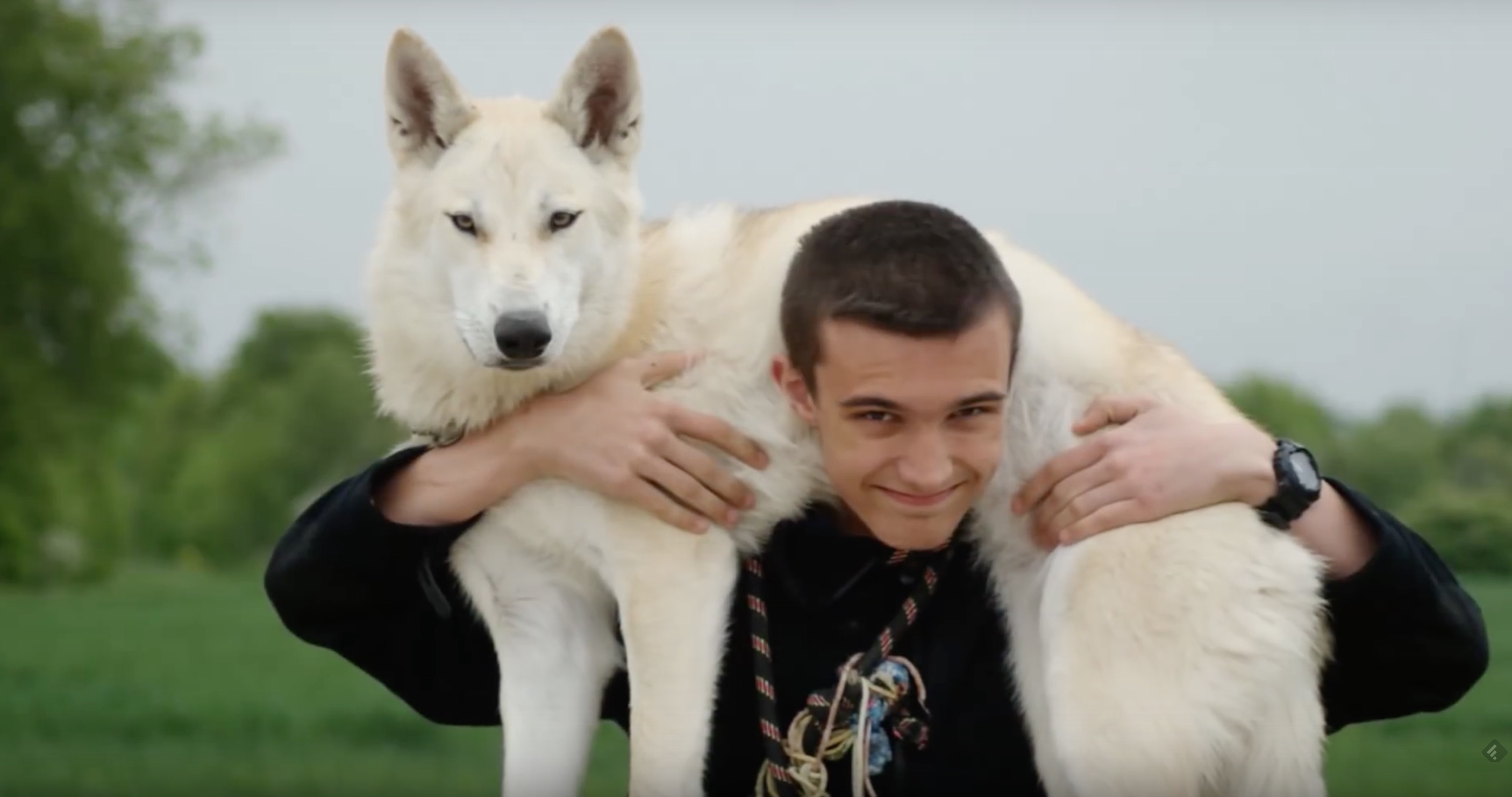 Un jeune chien-loup et son propriétaire