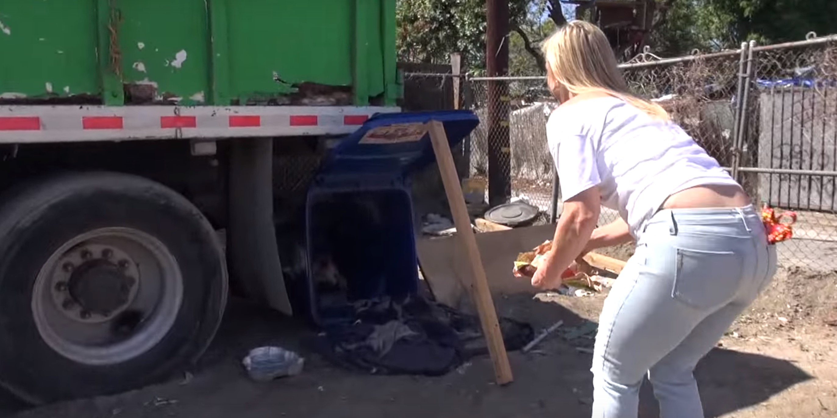 zoe-chienne-poubelle-chiot-13