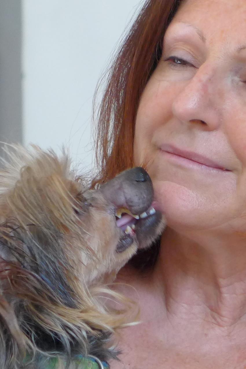 icko-yorkshire-maltraitance-2