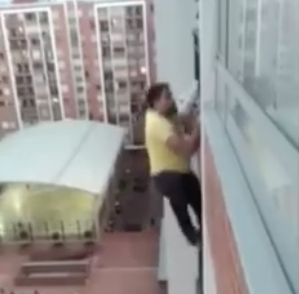 chien-colombie-sauvetage-5