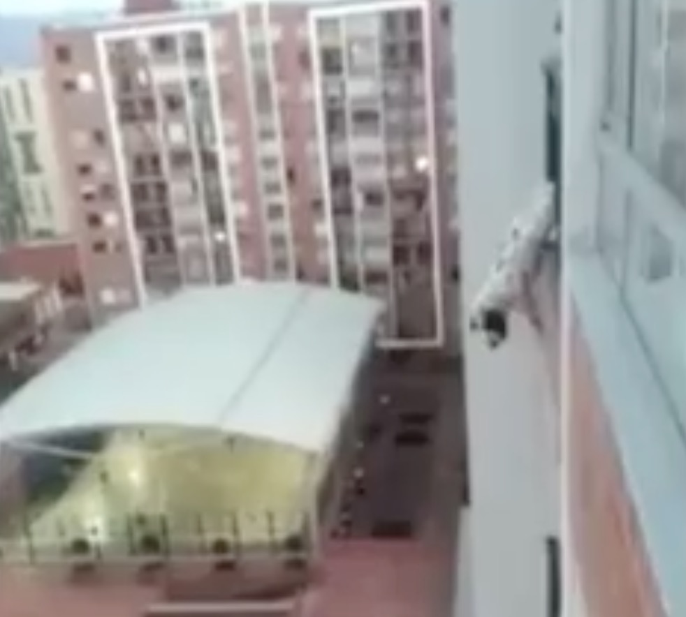 chien-colombie-sauvetage-4