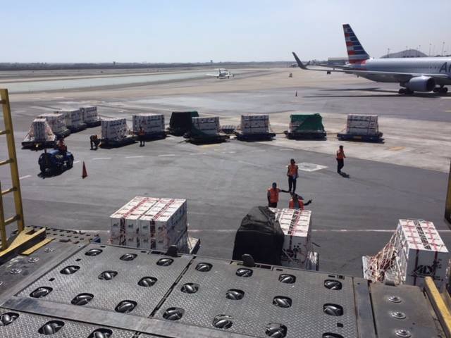 33-lions-sauvetage-refuge-aid-8