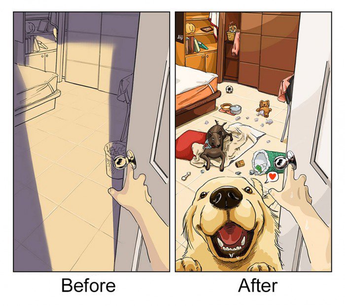 dog-change-life-1