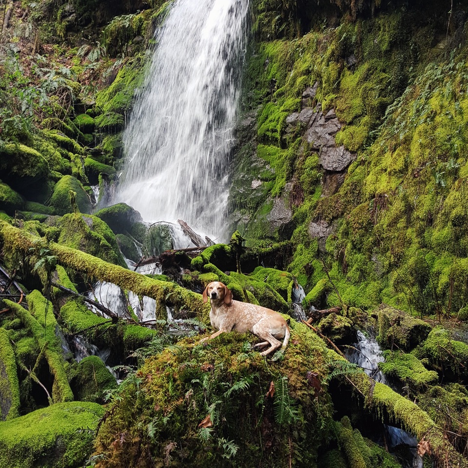 Processed with VSCOcam with c2 preset