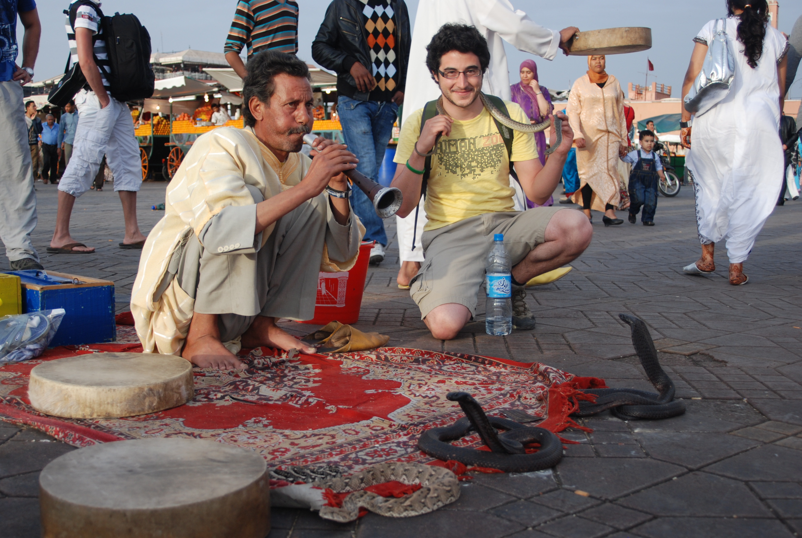 attraction-touristique-cruelle-animaux-serpent