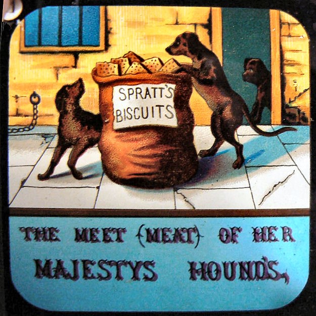 pet-food-évolution-4