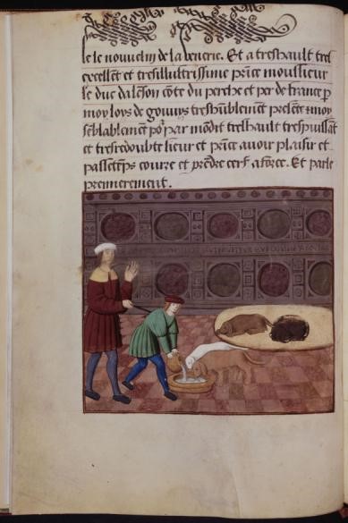 pet-food-évolution-2