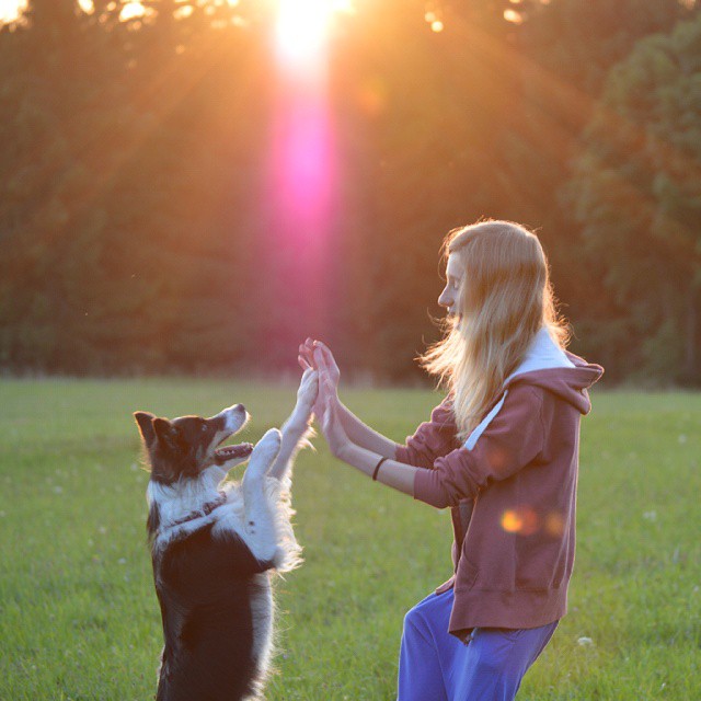 Amitié entre un chien et une fille