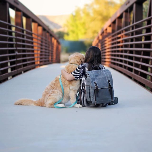 Chien avec un enfant