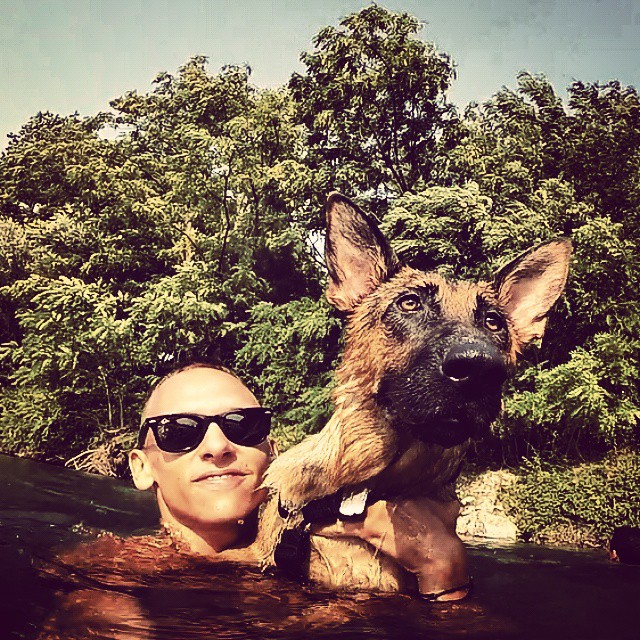 Un Berger Allemand qui joue