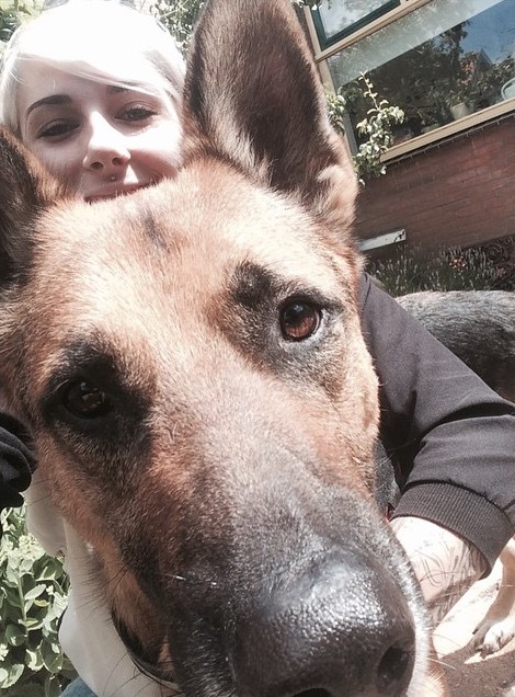 Un Berger Allemand avec sa maitresse