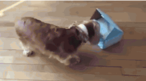 NoName-FBnathalieerb-1