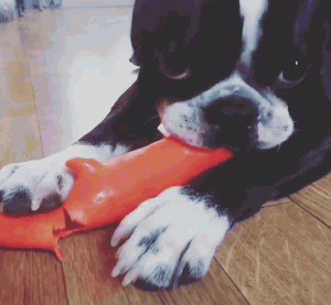 Jake-INSTAhi_imfromboston-1