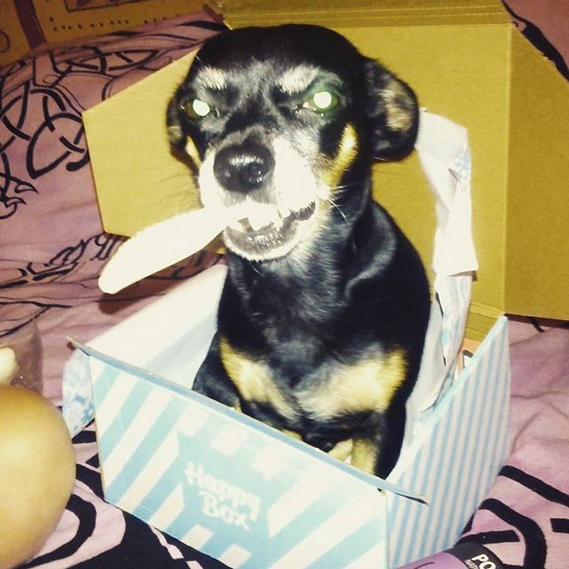 NoName-INSTAMla_smartis