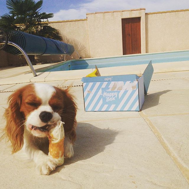 Joyce-INSTAmamapriouzeau