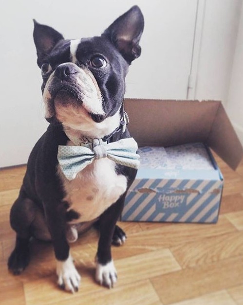 Jake-INSTAhi_imfromboston