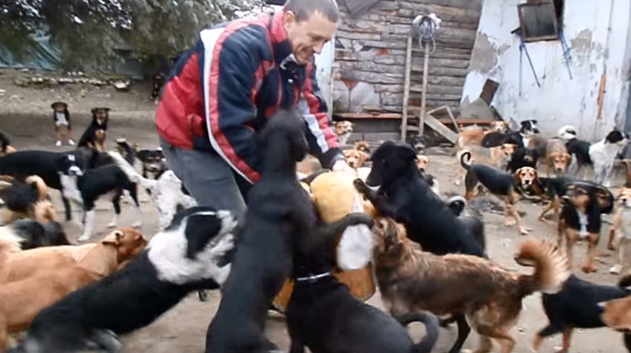 450-dogs-sanctuary-&