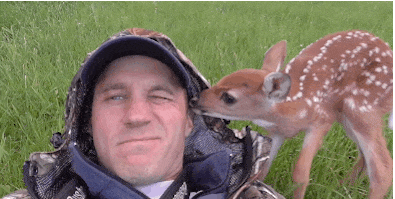 deer-rescue-13