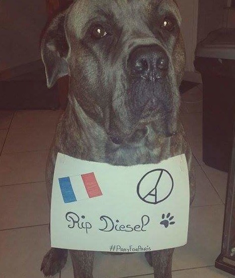 Hommage-Diesel-1